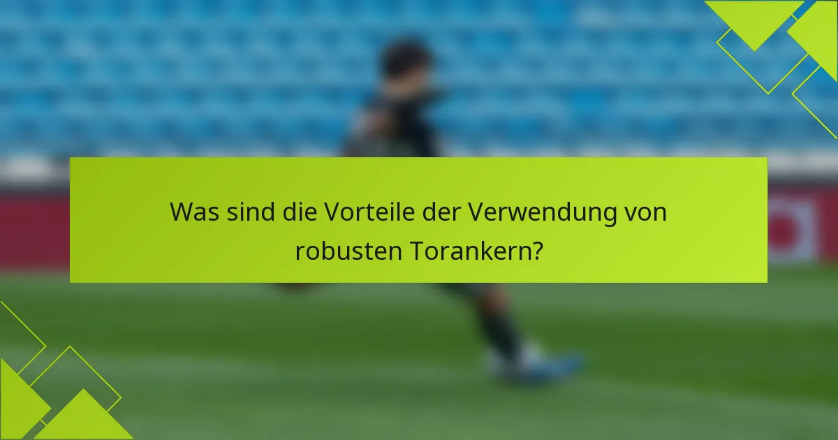 Was sind die Vorteile der Verwendung von robusten Torankern?
