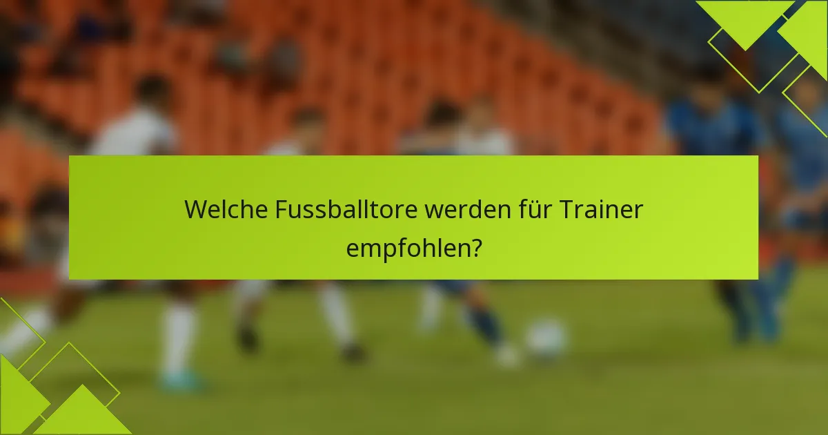 Welche Fussballtore werden für Trainer empfohlen?