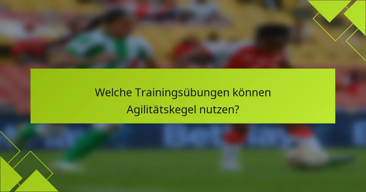 Welche Trainingsübungen können Agilitätskegel nutzen?