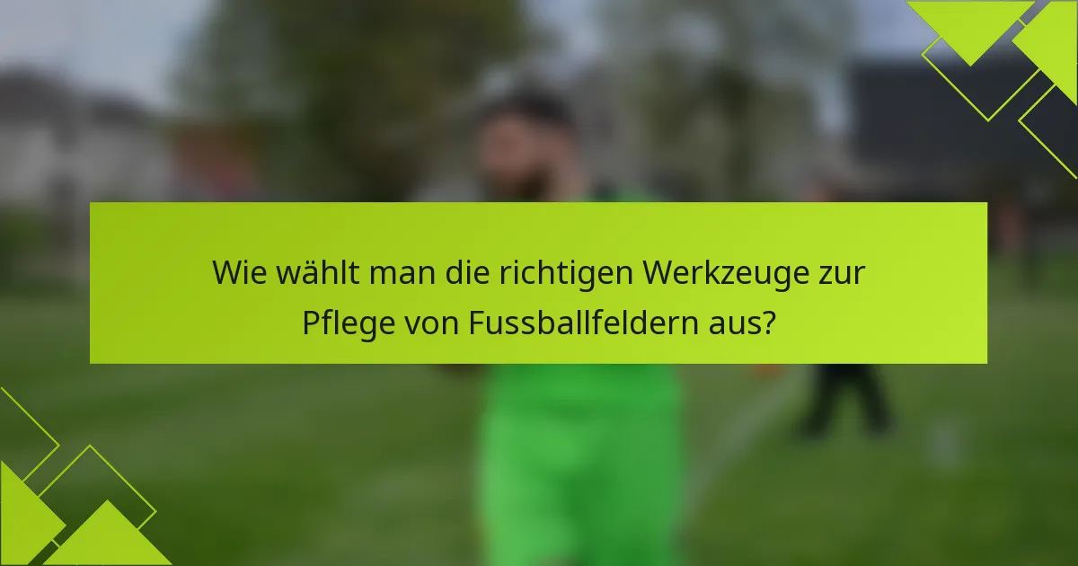 Wie wählt man die richtigen Werkzeuge zur Pflege von Fussballfeldern aus?